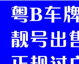 图 粤A粤B公司车牌转让,粤B公司车牌出租,专业正规 广州汽车美容